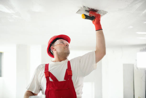 Best Repainting for Renovations  in Macarthur, WV